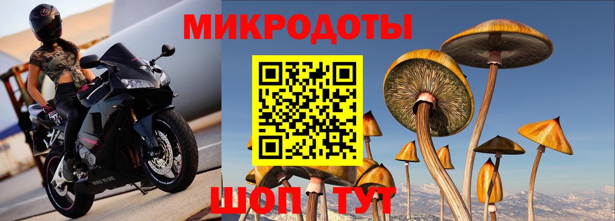 Псилоцибиновые грибы Psilocybine cubensis  Вход с VPN  Будённовск  Галлюциногенные грибы MAGIC MUSHROOMS 