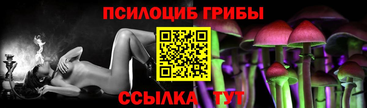 Галлюциногенные грибы прущие грибы Будённовск